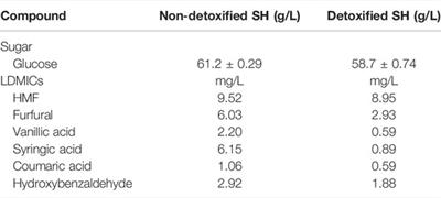 Effects of Clostridium beijerinckii and Medium Modifications on Acetone–Butanol–Ethanol Production From Switchgrass